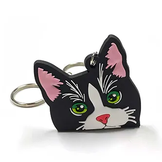 Keyring Icon